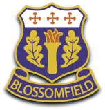 Solihull Blossomfield CC